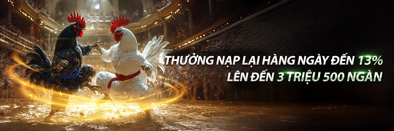 Sân vận động tràn ngập khán giả với các môn thể thao đa dạng, thể hiện không khí cá cược sôi động tại w66 casino