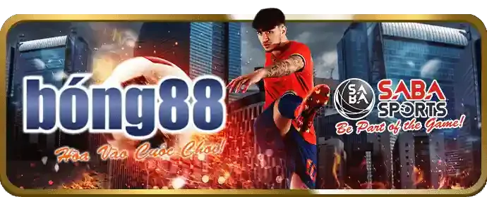 Thưởng chào mừng đá gà W66 Casino